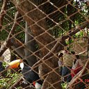 ���� ����. ��������� �� ��!, ������, 72 ���� - ��������� 11 �������� 2011 � ������ ���������