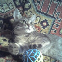 ���� ����, ������ ��������, 35 ��� - ��������� 19 ������ 2010