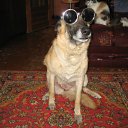 ���� ����, ������������, 61 ��� - ��������� 11 �������� 2011 � ������ �������