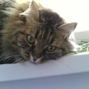 ���� Boos, ������, 74 ���� - ��������� 2 ������� 2011 � ������ ���� ����������