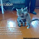 ���� ��������, ������������, 23 ���� - ��������� 20 ������� 2011 � ������ �������������