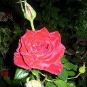 ���� ��������, ������ - ��������� 23 ������� 2010 � ������ �������