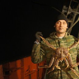 ������, �����������, 45 ���