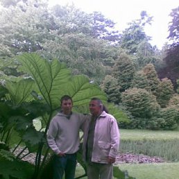 Stefan, ������