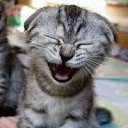 ���� ������, ������������ - ��������� 19 ������� 2011 � ������ �:)�