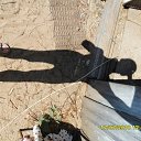  ,  , 42  -  25  2010    