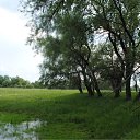 ���� ������, ������, 63 ���� - ��������� 6 ���� 2011 � ������ ��������. �����