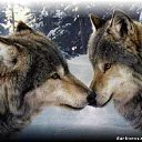  Paata, , 52  -  27  2013    