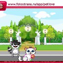  , , 44  -  1  2010   PetLove