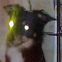 ���� Orange_juice, ������, 31 ��� - ��������� 15 ������� 2010 � ������ ���� ����������