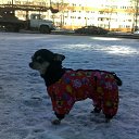 ���� Yushka Ya, �����-��������� - ��������� 12 ������ 2013 � ������ ���� �������)�