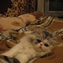 ���� �������, ������, 59 ��� - ��������� 14 ������� 2009 � ������ ���� ������� ��� ����