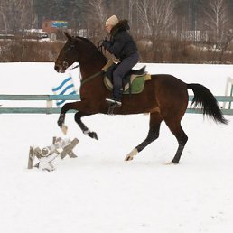 ���� �������, �����������, 62 ���� - ��������� 2 ���� 2012