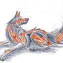 ���� &dagger;���� Wolfa ������&dagger;, ������ ��������, 27 ��� - ��������� 8 ������ 2010 � ������ ������