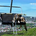 ���� �������, ������-��-����, 53 ���� - ��������� 10 ��� 2012 � ������ �������� ��������� ���������, ���� ����(��������)�