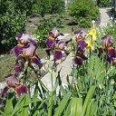 ���� ����� (������), �����������, 24 ���� - ��������� 20 ������� 2010 � ������ ������ �� ����� ����.�