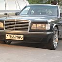 ���� �������, ������, 40 ��� - ��������� 12 ������ 2012 � ������ �������