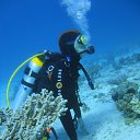 � �� ��� �������. �� ������� ���� ����������