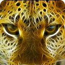  Rita-xd, Kohtla, 26  -  11  2011    