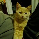 ���� �����, �������, 59 ��� - ��������� 19 ������ 2011 � ������ ���� ����������