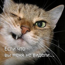 ���� ���, ������, 49 ��� - ��������� 12 ������� 2011