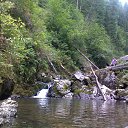 ������ ����� �� ������� ���� ����������