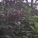 ���� ������� �������, ���������, 48 ��� - ��������� 9 ������ 2013