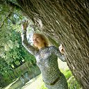 ���� ����, �����-���������, 66 ��� - ��������� 11 ������� 2012 � ������ ����������� 8 .09. 2012�