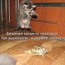 ���� ����, ����, 46 ��� - ��������� 26 ���� 2013 � ������ �������