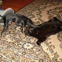 ���� �����, �����-��������� - ��������� 3 ������ 2012 � ������ ���� ����� � ���