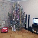 ���� ������, ������-��-����, 41 ��� - ��������� 2 ������ 2013 � ������ �2013�