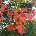  ir@ge))) ))), , 47  -  19  2009       