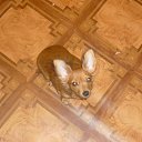 ���� &deg;&bull;*������&deg;&bull;*, ����������, 23 ���� - ��������� 15 ��� 2010 � ������ ���� ��������