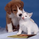 ���� �����, ��������, 42 ���� - ��������� 14 ����� 2013 � ������ ���� ����������