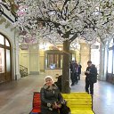 ���� ���������, ����-���, 67 ��� - ��������� 13 ����� 2013 � ������ ���� ����������