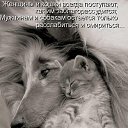 ���� ~Ann&ramosh~, ���������� - ��������� 2 ������� 2009 � ������ ���������