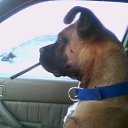 ���� ������, ������������� - ��������� 15 �������� 2012 � ������ �������