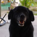 ���� Avto, �������, 50 ��� - ��������� 5 ������ 2012 � ������ ���� ����������