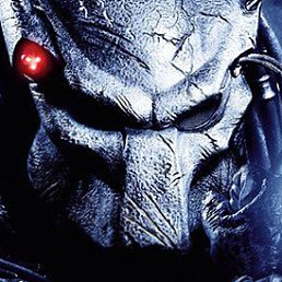 ���������, ���������, 43 ����