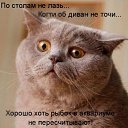 ���� ������������������������������������������������������������������, ��������, 39 ��� - ��������� 10 ���� 2010 � ������ ����ݻ