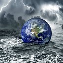  Niedara, , 51  -  2  2012   !!!!!!