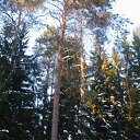 ���� ������, �����-���������, 66 ��� - ��������� 1 ������ 2012 � ������ ����� 2012 ����.�