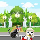 ���� ����, ������, 25 ��� - ��������� 9 �������� 2010 � ������ �PetLove�