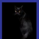 ���� ����, ������ - ��������� 21 ������� 2011