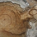 ������������� �� ������� �������������Ż