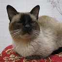 ��� ������� ���� 24 ������ ��� ���� ����� 16 ���........... �� ������� �������