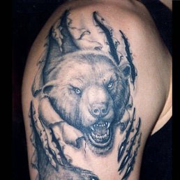 ���� �����, �����-���������, 39 ��� - ��������� 19 ��� 2013