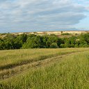  , , 69  -  29  2013    ...