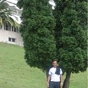 ���� �������, ����������� - ��������� 30 ������� 2011