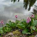 ���� ����� ����������, ����������, 105 ��� - ��������� 25 ������ 2013 � ������ ���� ����������